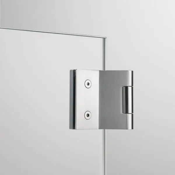 Frameless door special hinges